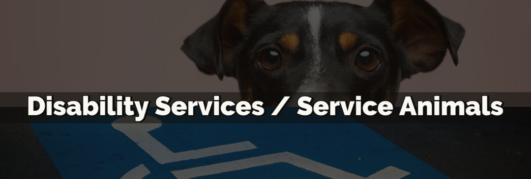 Disability and Animal Services Banner
